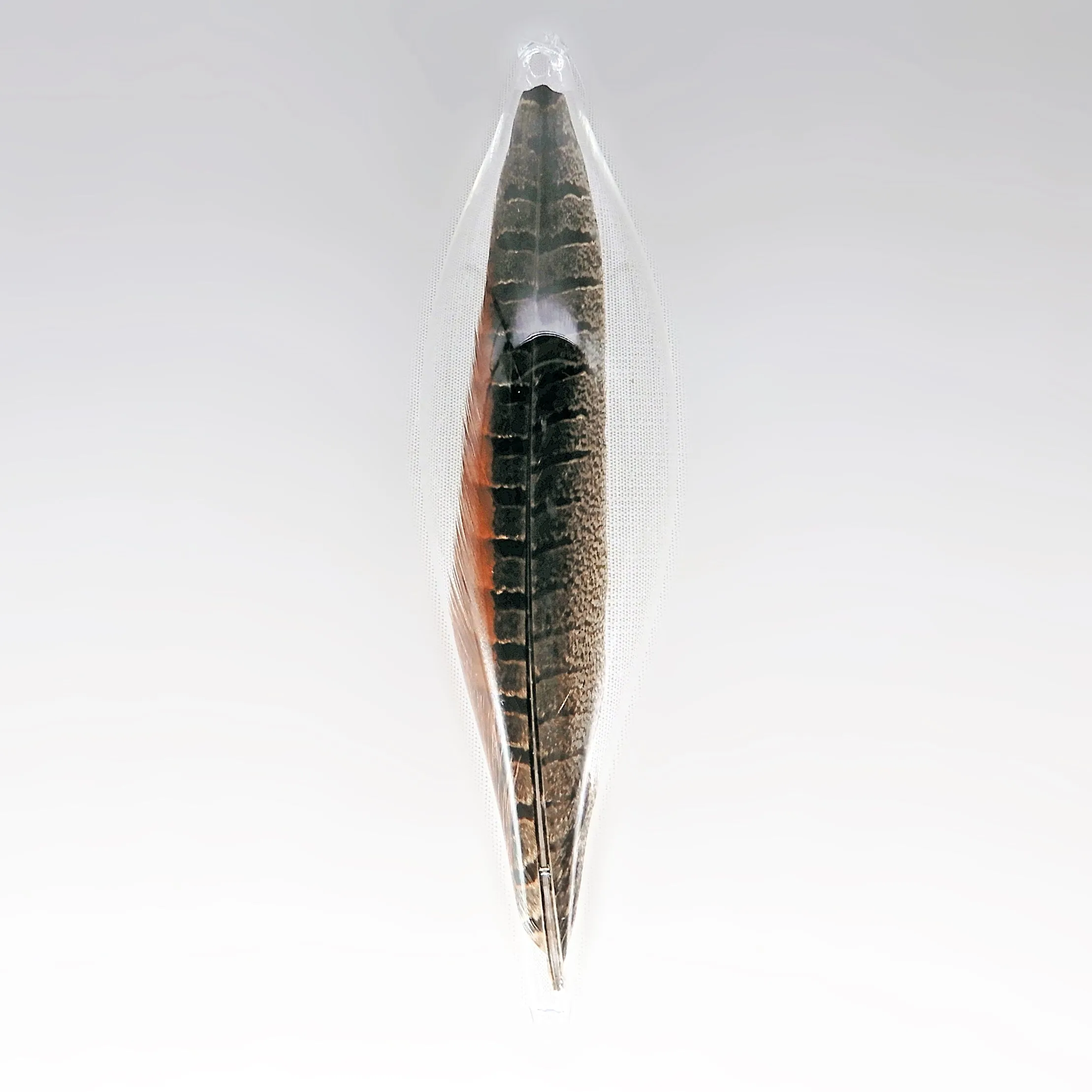 10" Feather Ornament