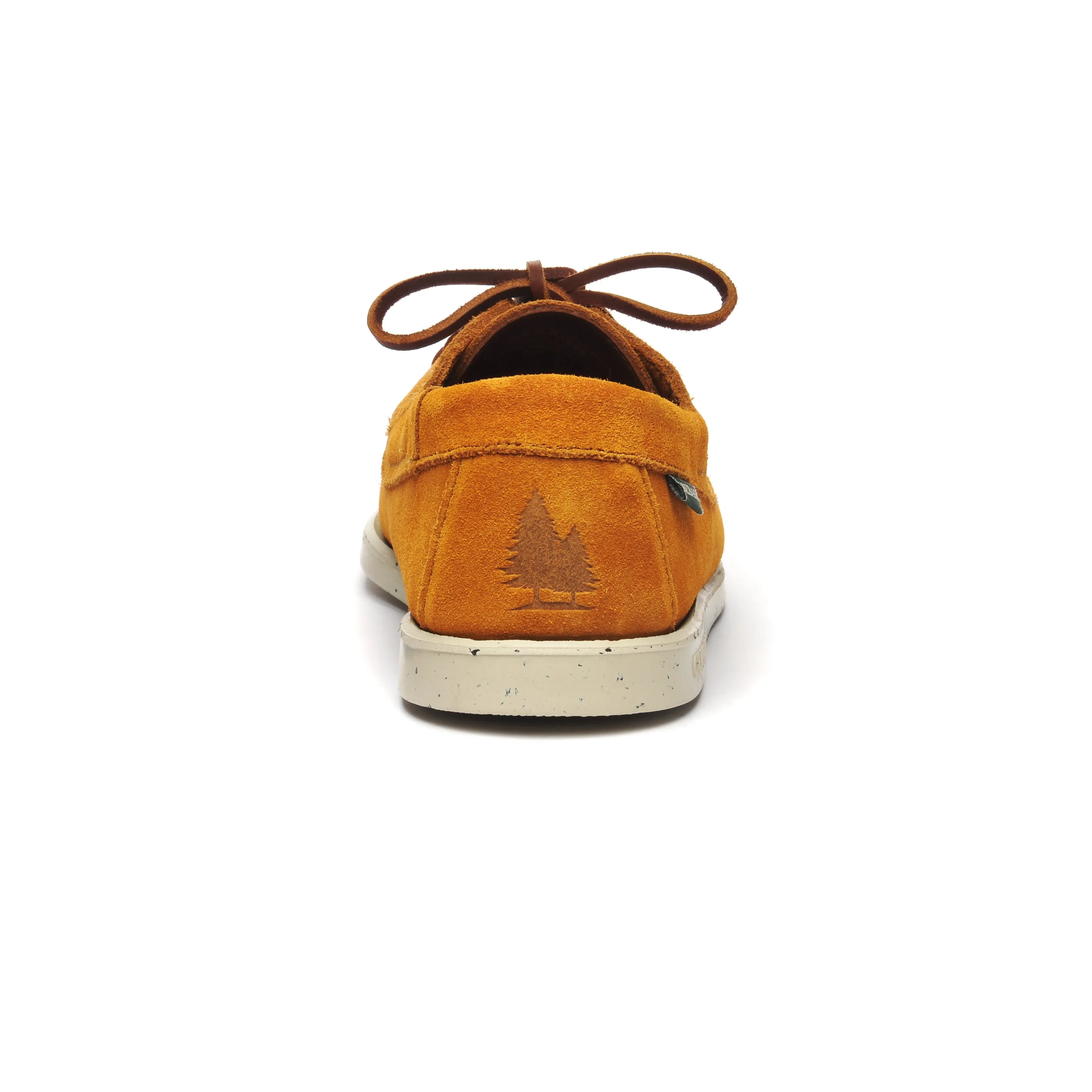 Askook Rocky Mountain 3 - Yellow Golden & Turtledove Rec