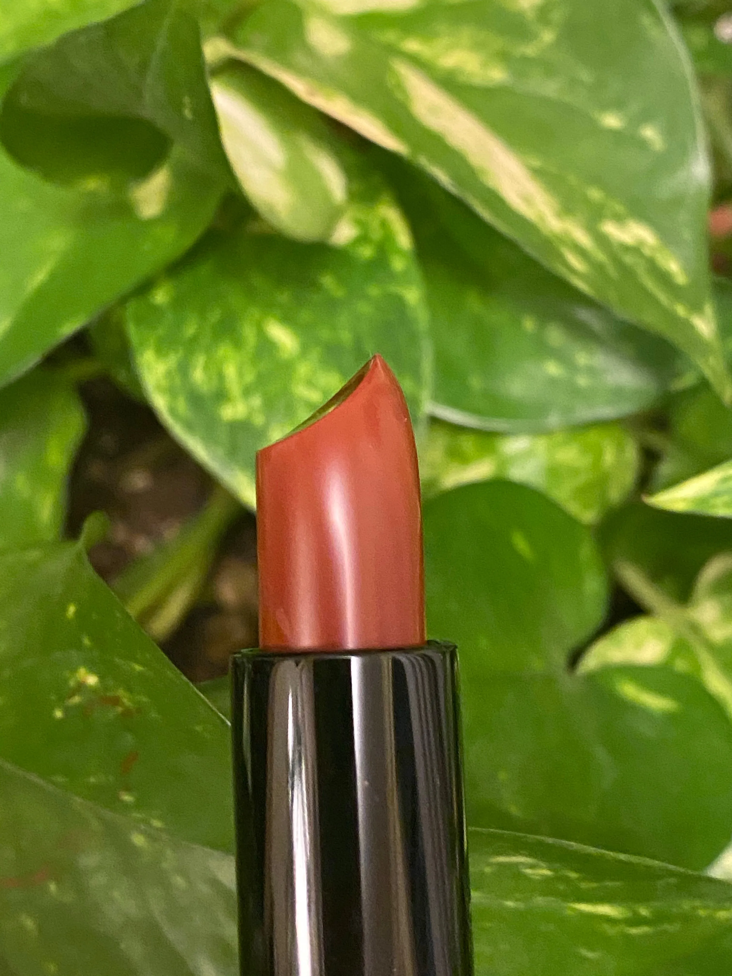 Brigitte Luxury Matte Lipstick