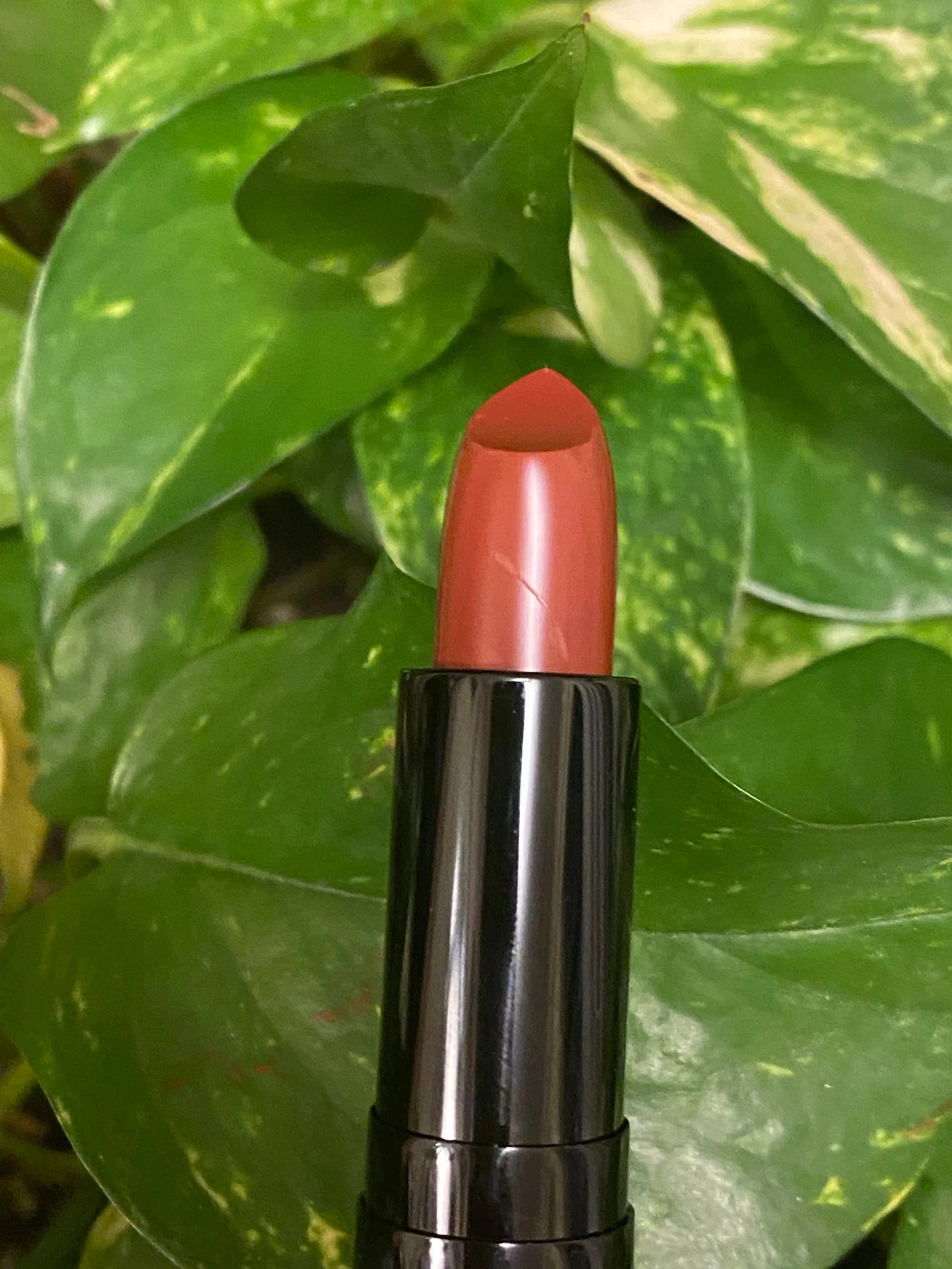 Brigitte Luxury Matte Lipstick