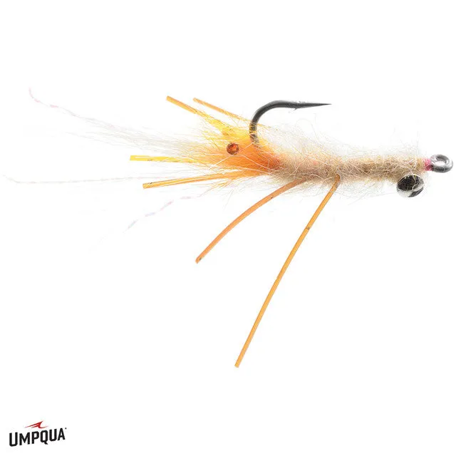Coyote Spawn Shrimp
