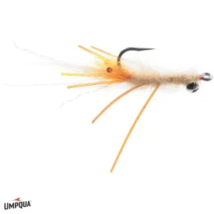 Coyote Spawn Shrimp