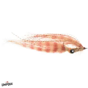 Crafty Shrimp