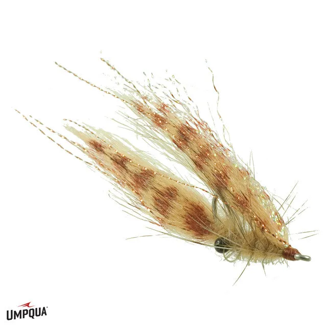 Crafty Shrimp