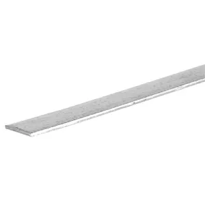 Flat Plate
