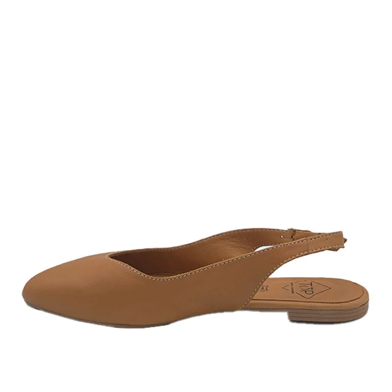 Flats TOP3 23341