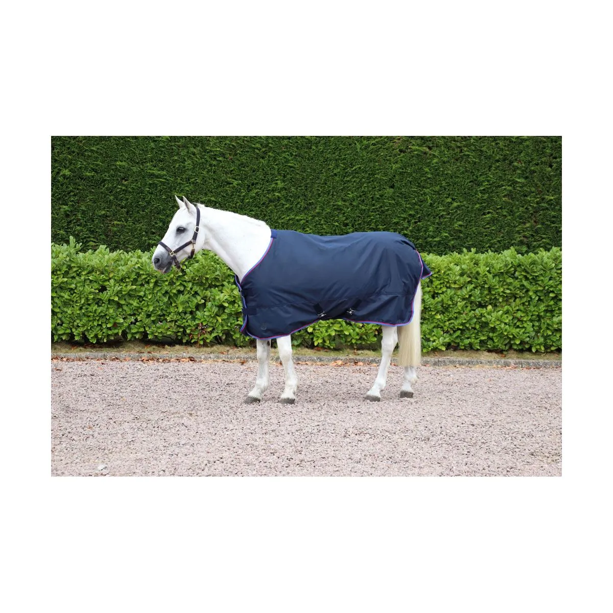 Hy Signature Lightweight 0g Turnout Rug