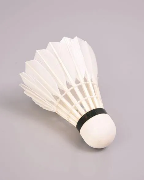 Kawasaki Team No.2 Feather Shuttlecock