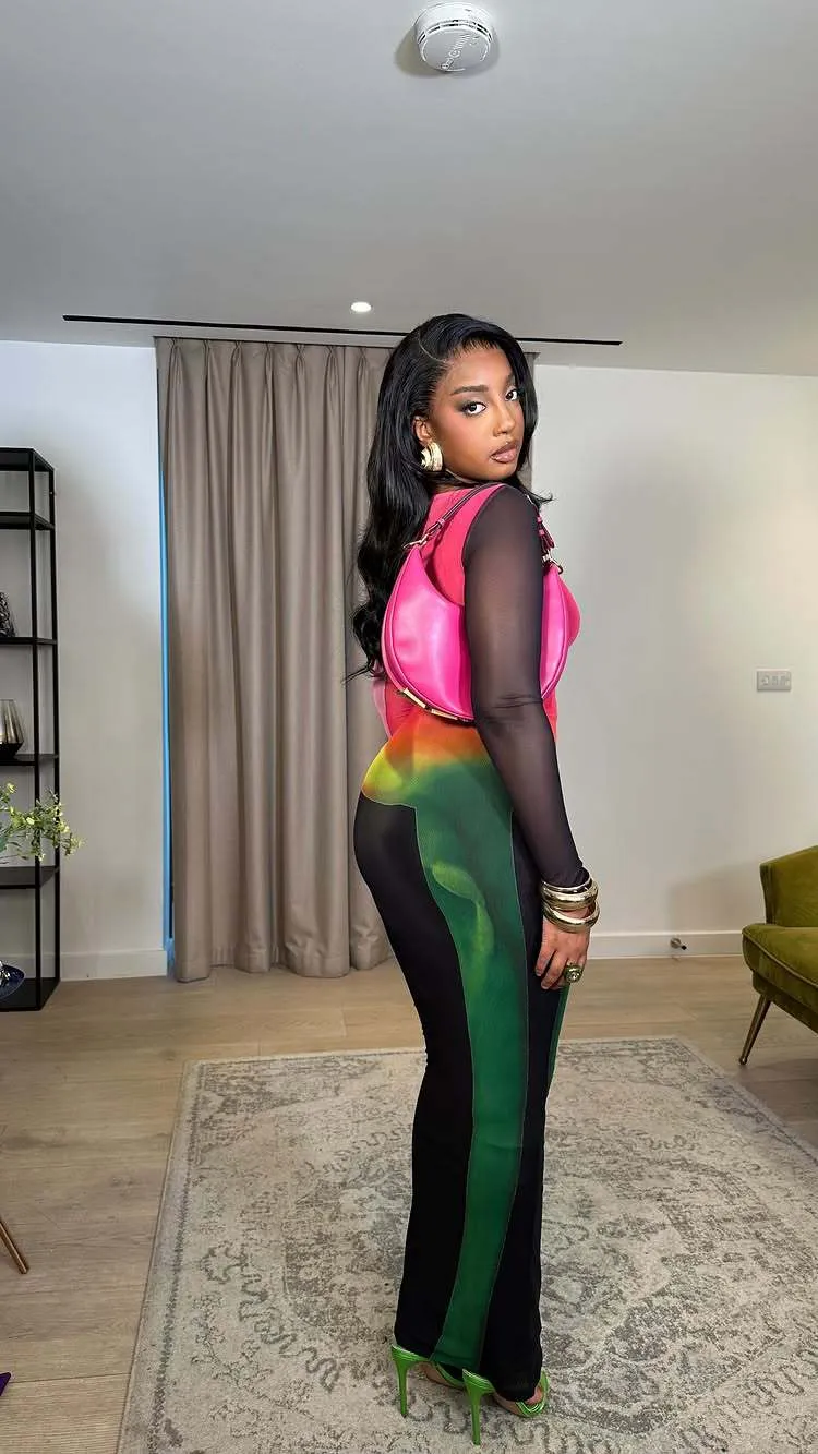 Radiant Mesh Illusion Long Sleeve Colorblock Maxi Dress