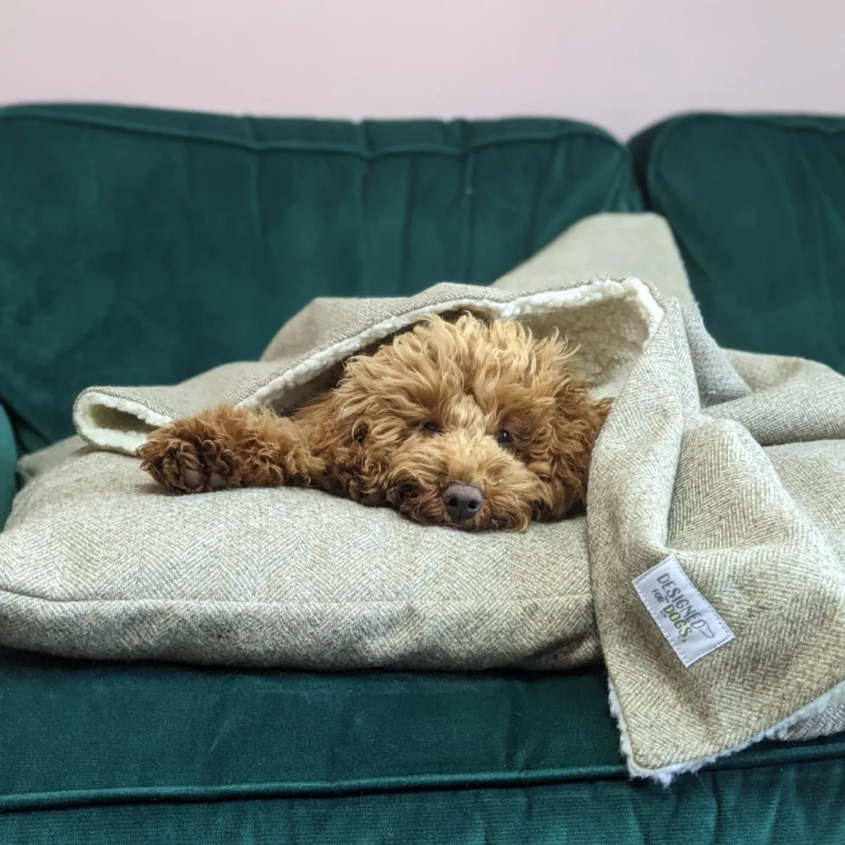 Stone Tweed Pillow Dog Beds
