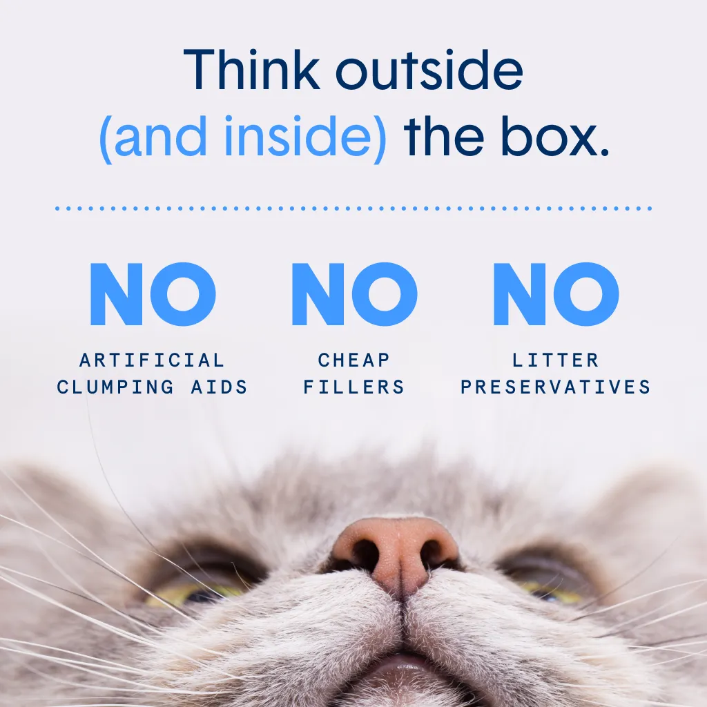 Unscented Lightweight Plant-Based Litter